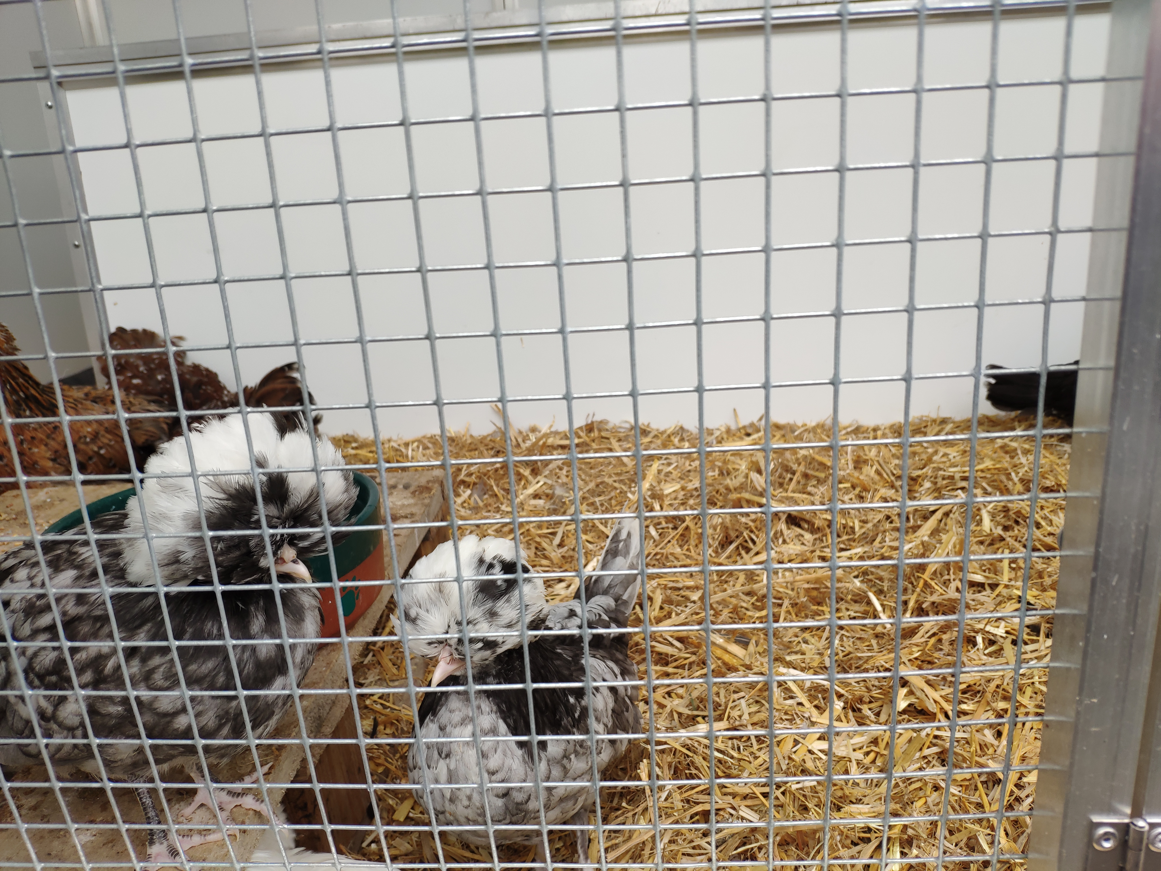 Photo n° 4 de l'avis de Jerome.a fait le 23/04/2019 à 07:39