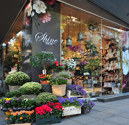 Shine Shop - магазин за цветя