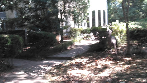 Tourist Attraction «McRaven Tour Home», reviews and photos, 1445 Harrison St, Vicksburg, MS 39180, USA