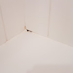 Photo n° 4 de l'avis de Mehdy.e fait le 24/12/2018 à 21:05 pour Adonis résidence Les Hauts de Honfleur à Équemauville