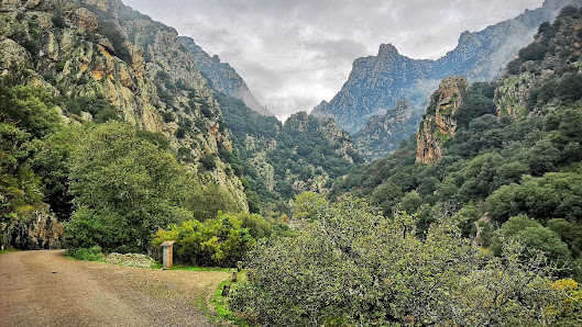 Gorges d'Héric Le Verdier, 34390 Mons, France