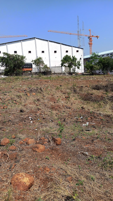 Google Maps image 12