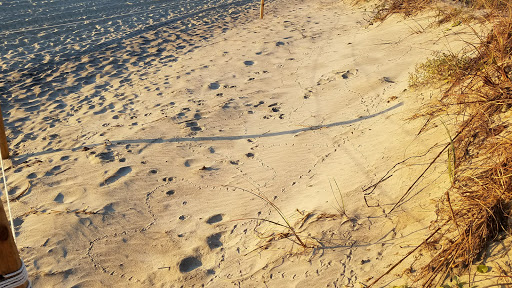 State Park «Myrtle Beach State Park», reviews and photos, 4401 S Kings Hwy, Myrtle Beach, SC 29575, USA