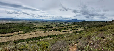 La Pinède Saint-Jaumes à Lézignan-Corbières