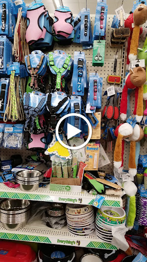 Dollar Store «Dollar Tree», reviews and photos, 100 Northeast Ave, North East, MD 21901, USA