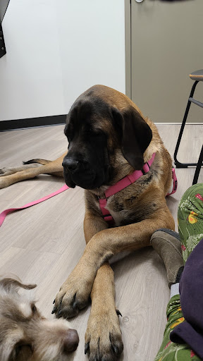 Pet Supply Store «Pet Club Cave Creek», reviews and photos, 4725 E Carefree Hwy, Cave Creek, AZ 85331, USA