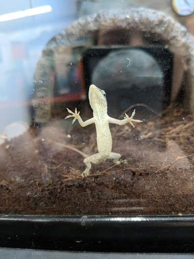 Pet Supply Store «Petco Animal Supplies», reviews and photos, 777 Stillwater Ave, Bangor, ME 04401, USA