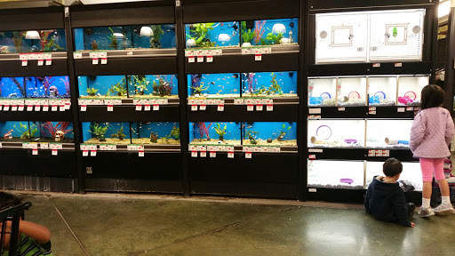 Pet Supply Store «Pet Supplies Plus», reviews and photos, 4500 Arroyo Vista, Livermore, CA 94551, USA