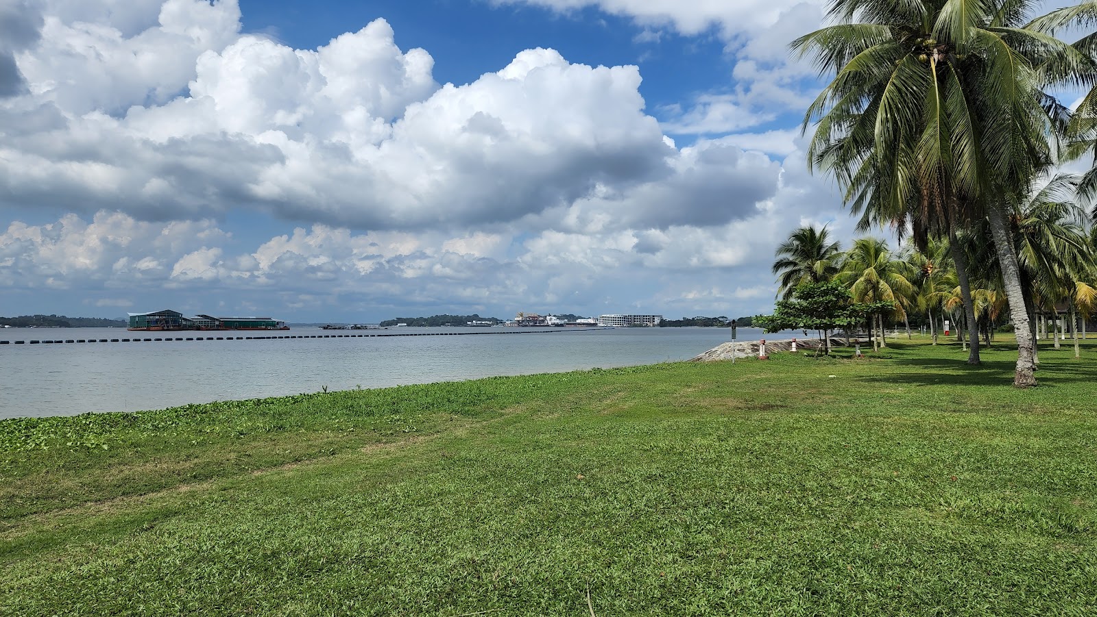 Photo of Pasir Ris Beach with very clean level of cleanliness