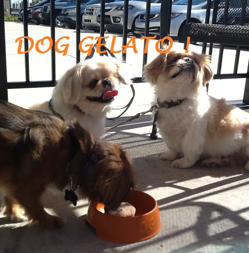 Coffee Shop «La Divina», reviews and photos, 3535 Perkins Rd #360, Baton Rouge, LA 70808, USA