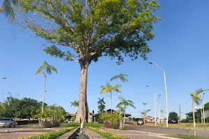 Parque Estadual do Utinga image