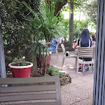 Photo n°1 de l'avis de Guido. fait le 22/06/2018 à 11:23 sur le  Rian Restaurant Cafe’ à Inzago