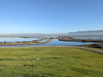 Bay Trail Sunnyvale