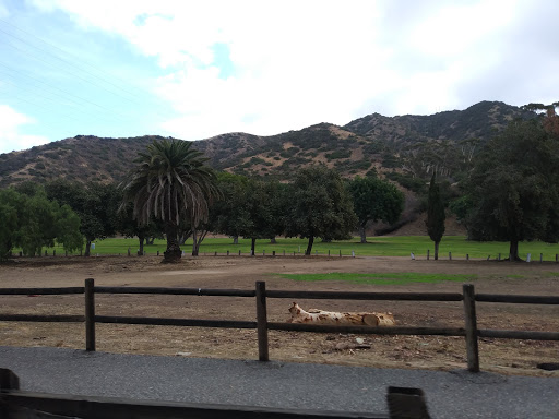 Public Golf Course «Catalina Island Golf Course», reviews and photos, 1 Country Club Dr, Avalon, CA 90704, USA