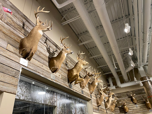 Sporting Goods Store «SCHEELS», reviews and photos, 8251 Flying Cloud Dr #1058, Eden Prairie, MN 55344, USA