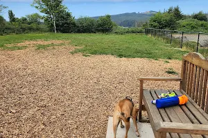 Tillamook Ironworks Bark Park image