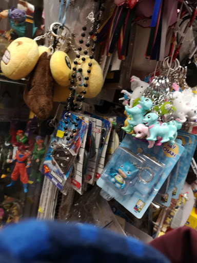 Toy Store «Toys & Bags Corp», reviews and photos, 2845 Steinway St, Astoria, NY 11103, USA