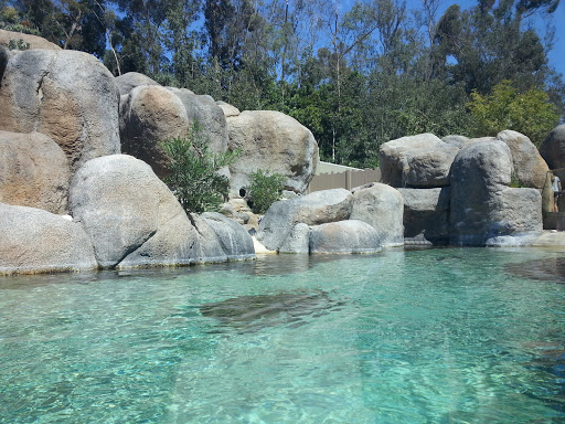 Sitios para bañarse en San Diego