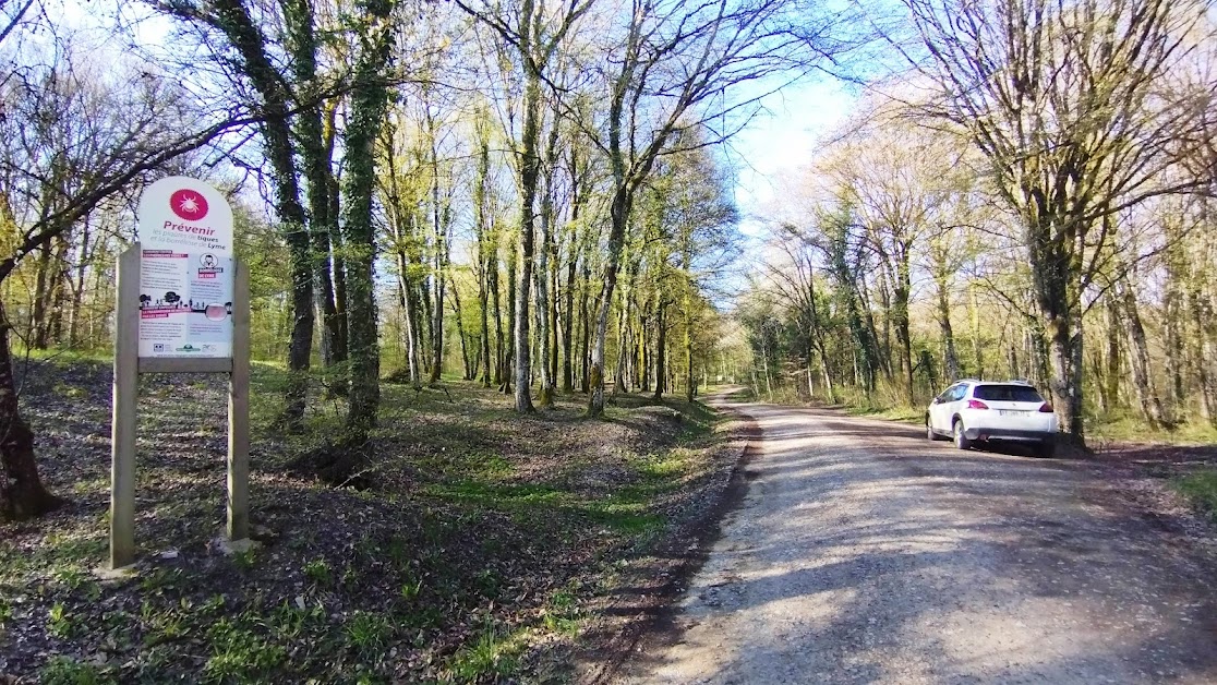 aire de stationnement camping cars Verdun