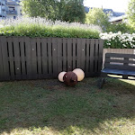 Photo n°3 de l'avis de S... fait le 13/07/2023 à 21:25 sur le  alexxanders Restaurant & Boardinghouse à Chemnitz