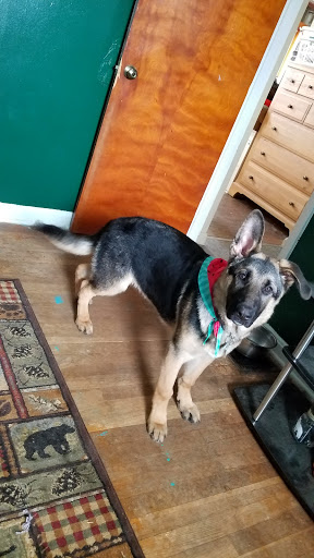 Pet Supply Store «PetSmart», reviews and photos, 8281 Troy Pike, Huber Heights, OH 45424, USA