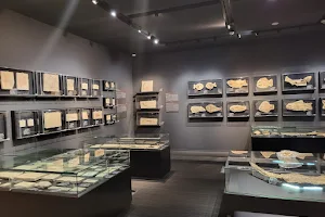 Oishi Fossils Gallery of Mizuta Memorial Museum, Josai Unversity Educational Corporation image