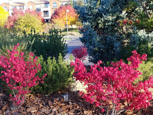 Golf Club «Omni Interlocken Golf Club», reviews and photos, 800 Eldorado Blvd, Broomfield, CO 80021, USA