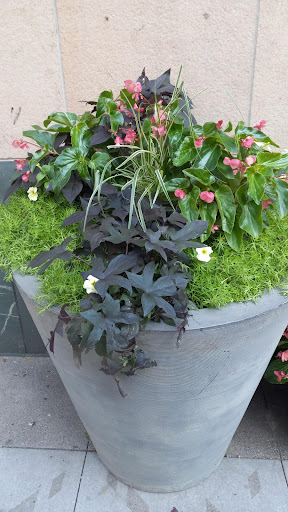 Shopping Mall «Gaviidae Common», reviews and photos, 651 Nicollet Mall #125, Minneapolis, MN 55402, USA