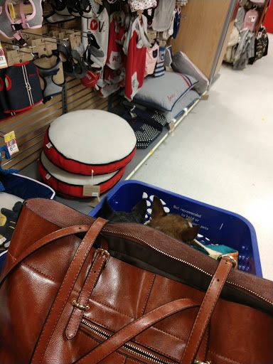 Pet Supply Store «PetSmart», reviews and photos, 4731 Commercial Dr, New Hartford, NY 13413, USA