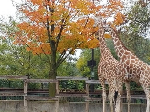 Zoo «Henry Vilas Zoo», reviews and photos, 702 S Randall Ave, Madison, WI 53715, USA