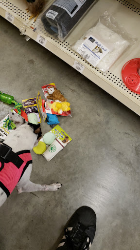 Pet Store «All Pet Supplies & Equine Center», reviews and photos, 2845 W Kearney St, Springfield, MO 65803, USA