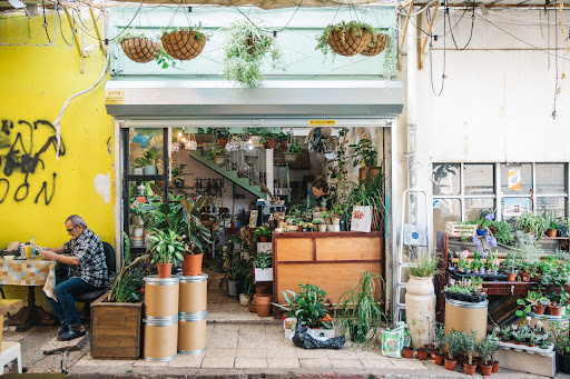 רות פרחים וצמחים Root Flowers and Plants