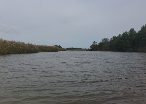 Bicycle Rental Service «Ocean Rentals Ltd.», reviews and photos, 577 Sandbridge Rd, Virginia Beach, VA 23456, USA