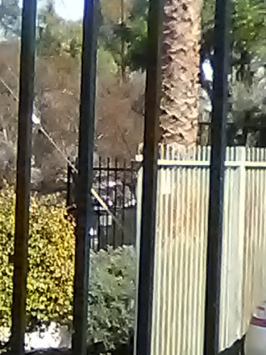 Cell Phone Store «AT&T Authorized Retailer», reviews and photos, 23639 Calabasas Rd, Calabasas, CA 91302, USA