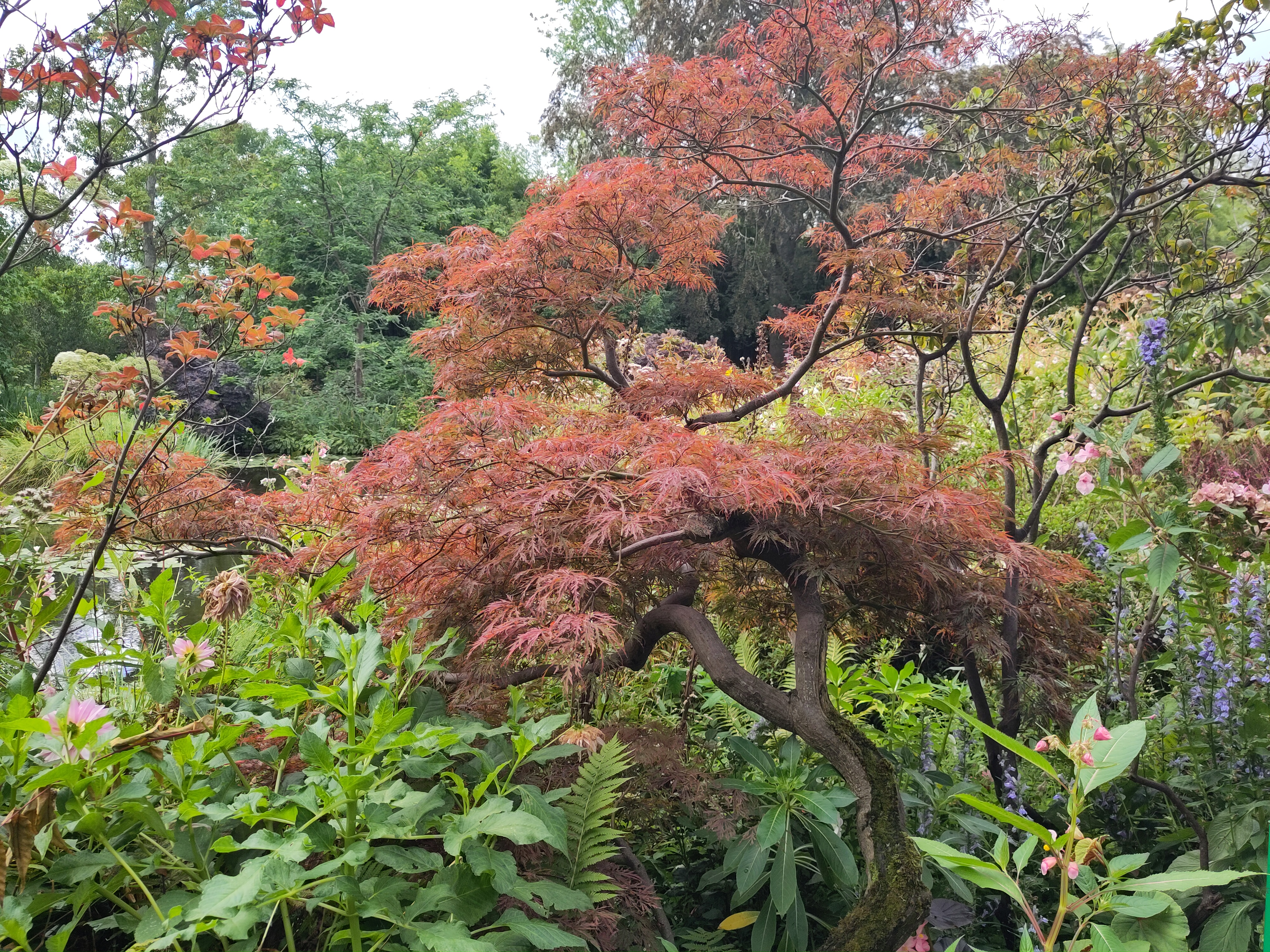 Photo n° 11 de l'avis de Lumin.U fait le 29/08/2023 à 15:58