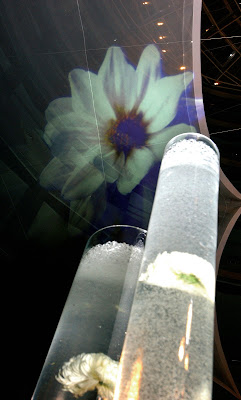 Gobo-verre à Champigny-sur-Marne