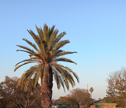 Eskulaap Park photo