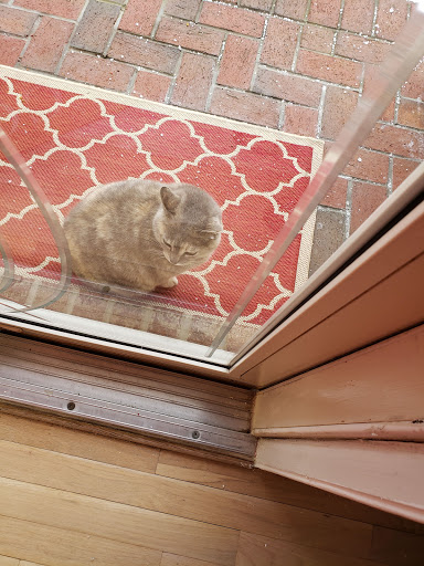 Nature Preserve «Governor Bridge Natural Area», reviews and photos, 7600 Governor Bridge Rd, Bowie, MD 20716, USA