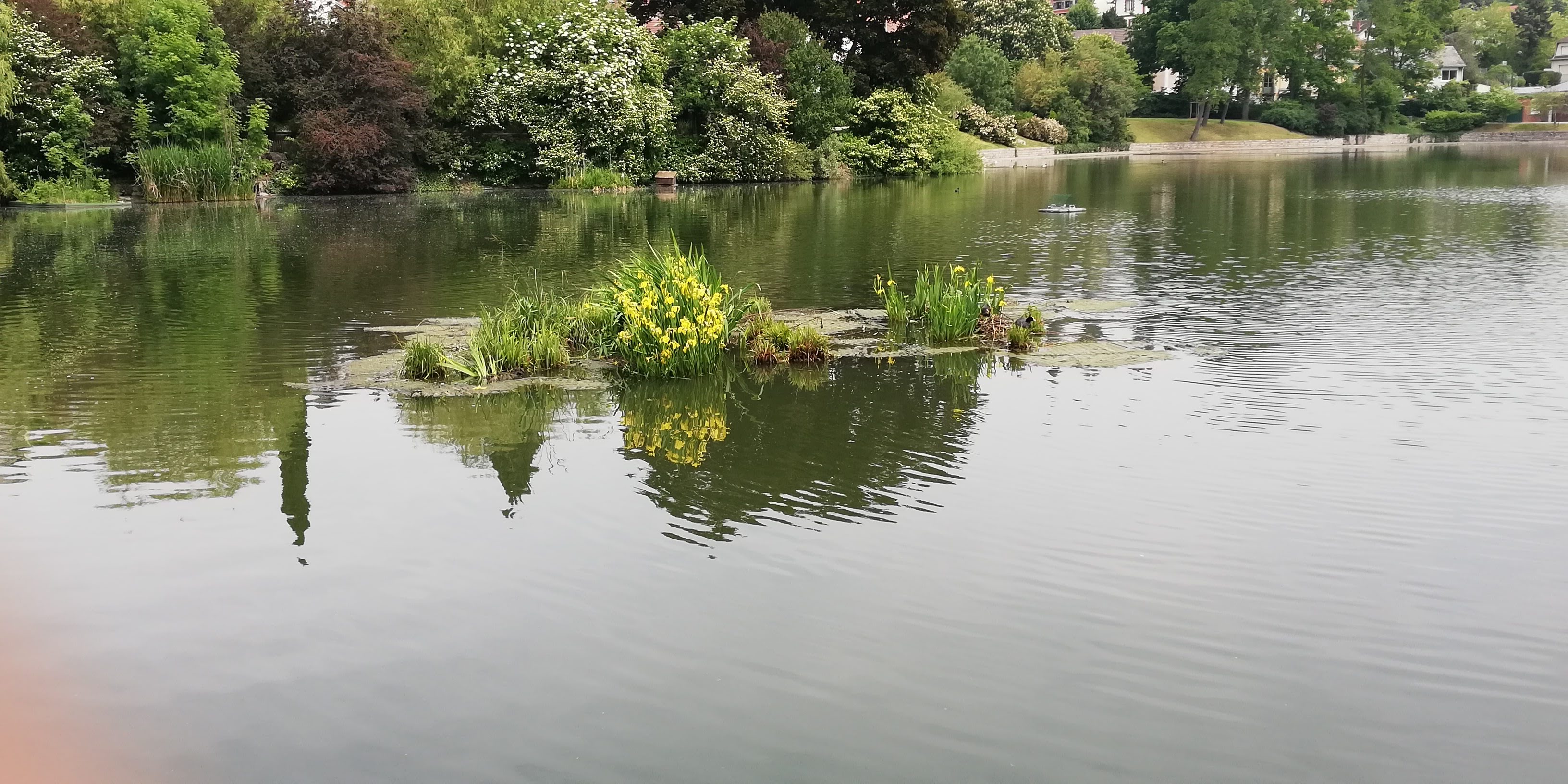 Photo n° 2 de l'avis de Florent. fait le 30/05/2019 à 03:52