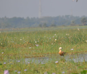 Google Maps image 29