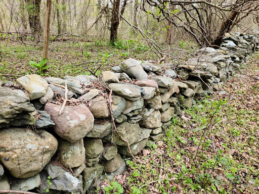 Nature Preserve «Norman Bird Sanctuary», reviews and photos, 583 3rd Beach Rd, Middletown, RI 02842, USA