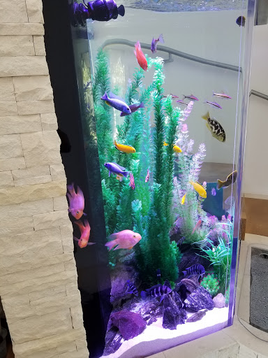 Tropical Fish Store «The Aquarium Connection», reviews and photos, 1663 E Los Angeles Ave, Simi Valley, CA 93065, USA