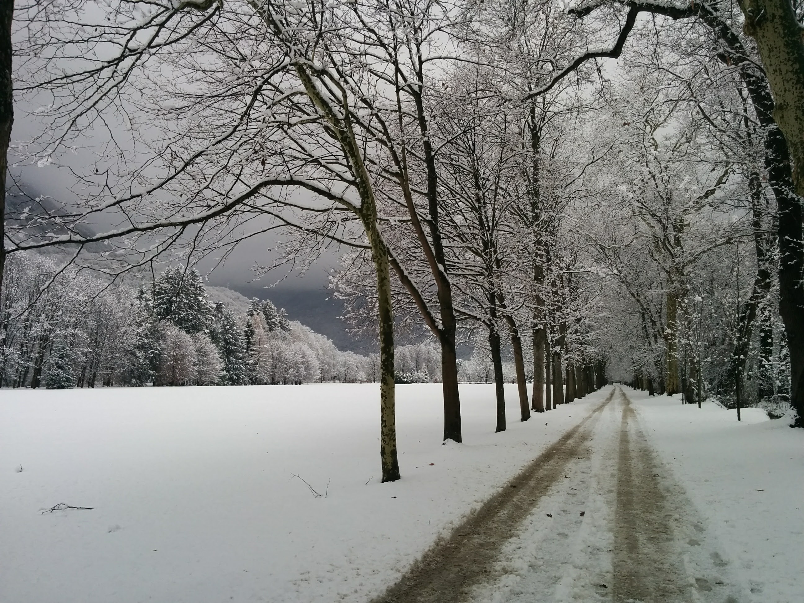 Photo n° 8 de l'avis de Denis.a fait le 01/12/2017 à 15:28