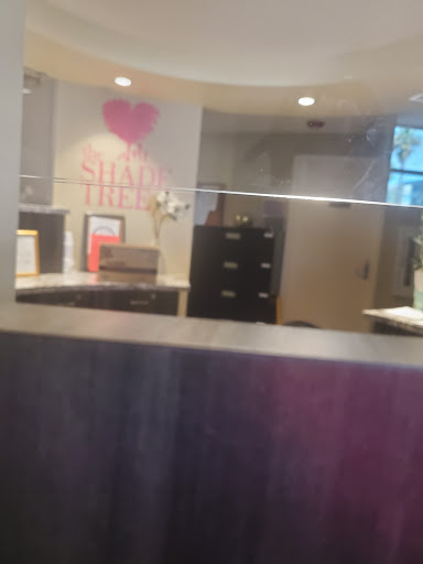 Social Services Organization «The Shade Tree», reviews and photos