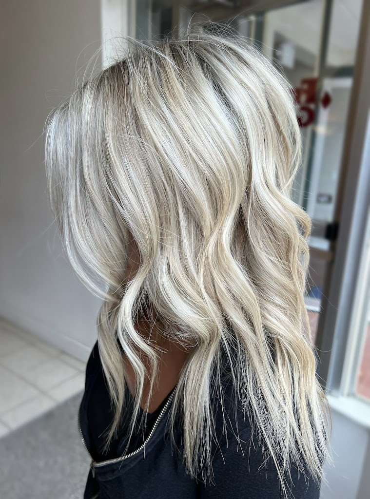 Tangled Up Salon 03820