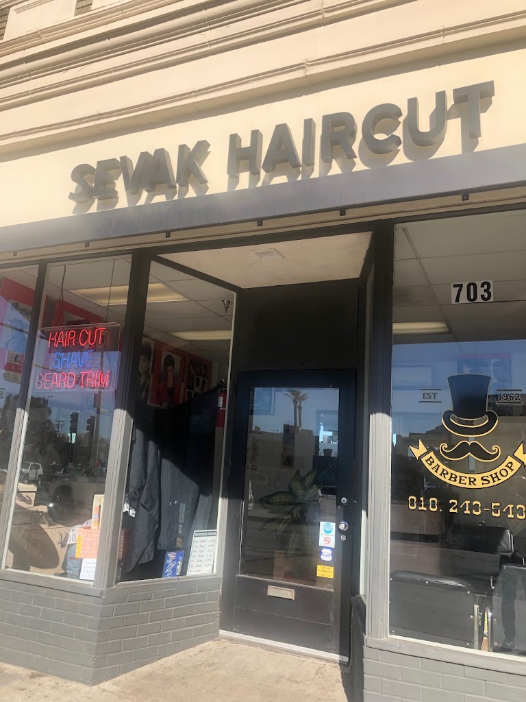 Sevak Haircut 91206
