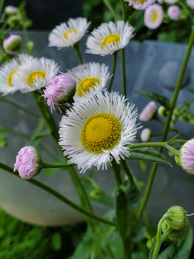 Park «Clayton Park», reviews and photos, 3173 Garnet Mine Rd, Garnet Valley, PA 19060, USA
