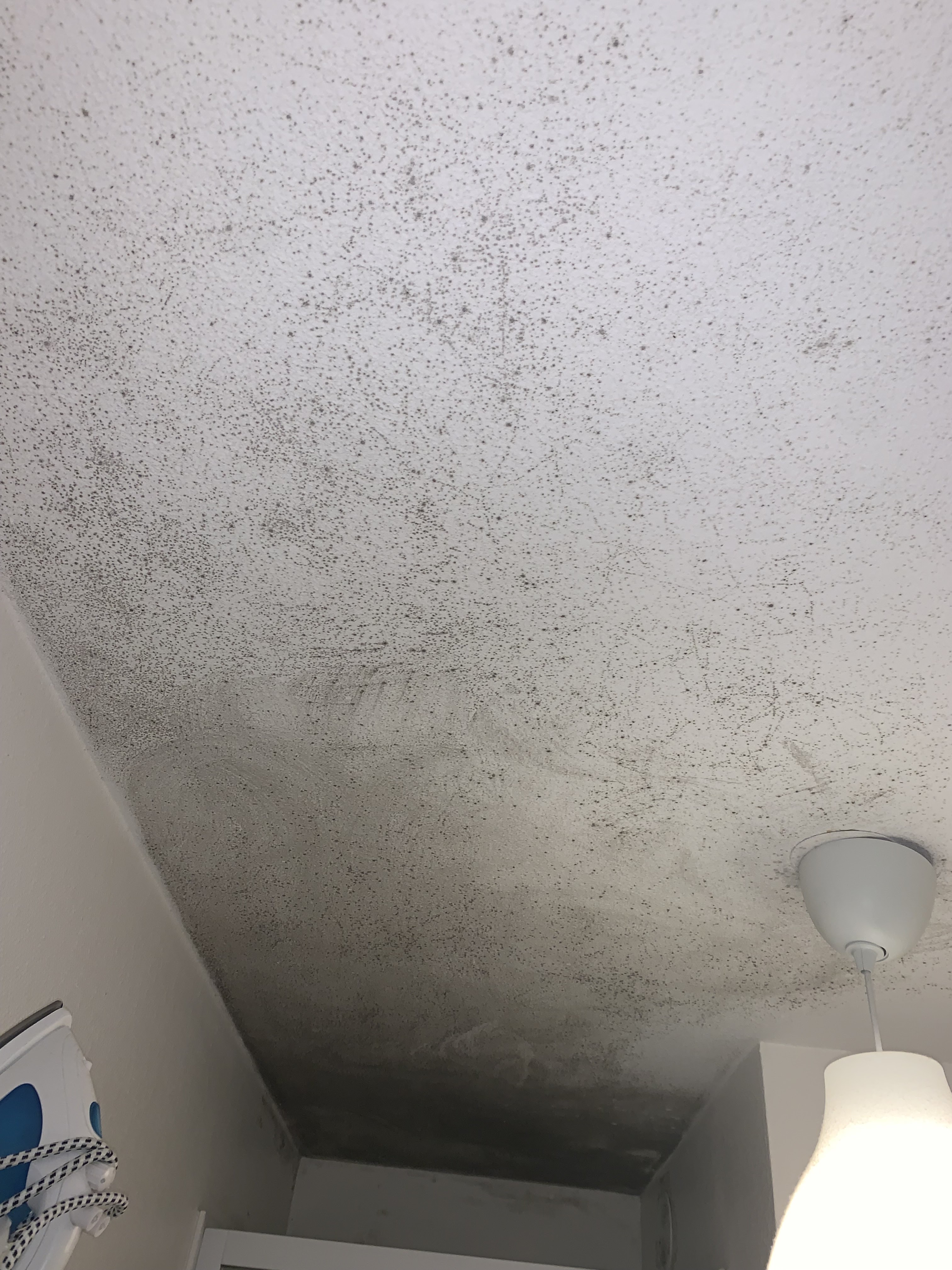 Photo n° 6 de l'avis de Mathis.a fait le 02/02/2023 à 15:32
