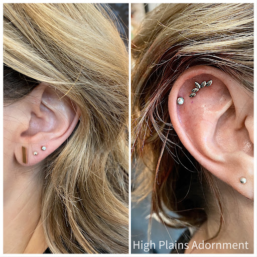 Explore lizard tattoo ideas, creative tattoo ideas in Casper, available at High Plains Adornment