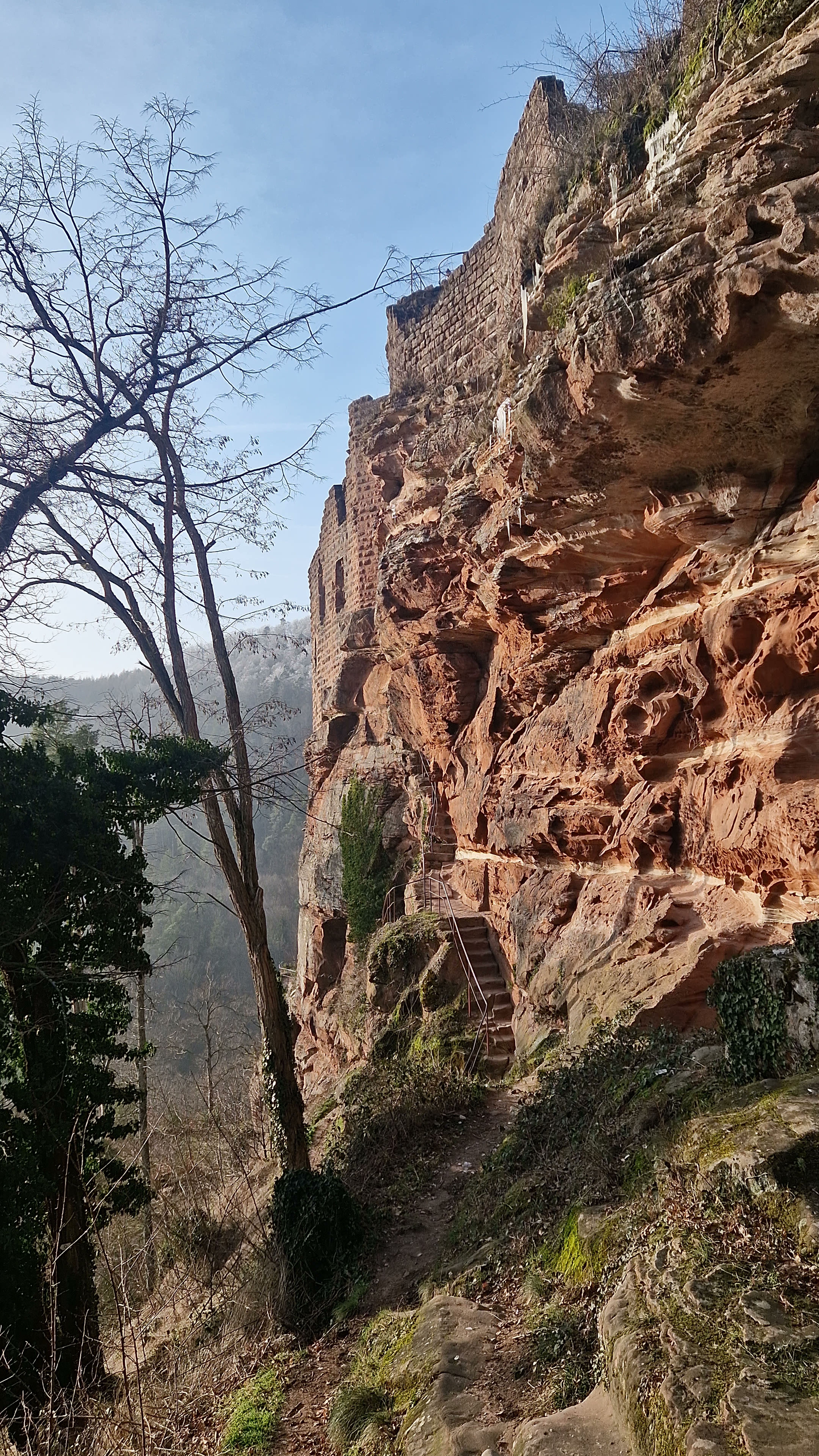 Photo n° 29 de l'avis de Beno. fait le 14/01/2024 à 20:33